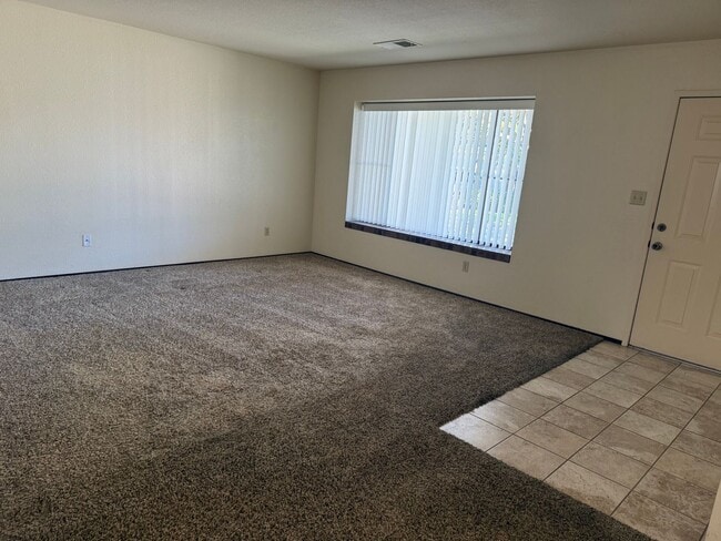 Photo - Holly Unidad Holly