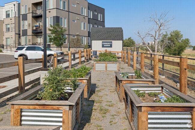 Community Garden