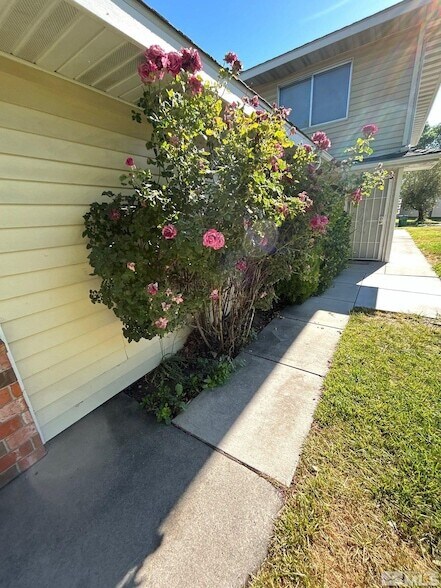 Photo - 5020 Catalina Dr Casa Adosada