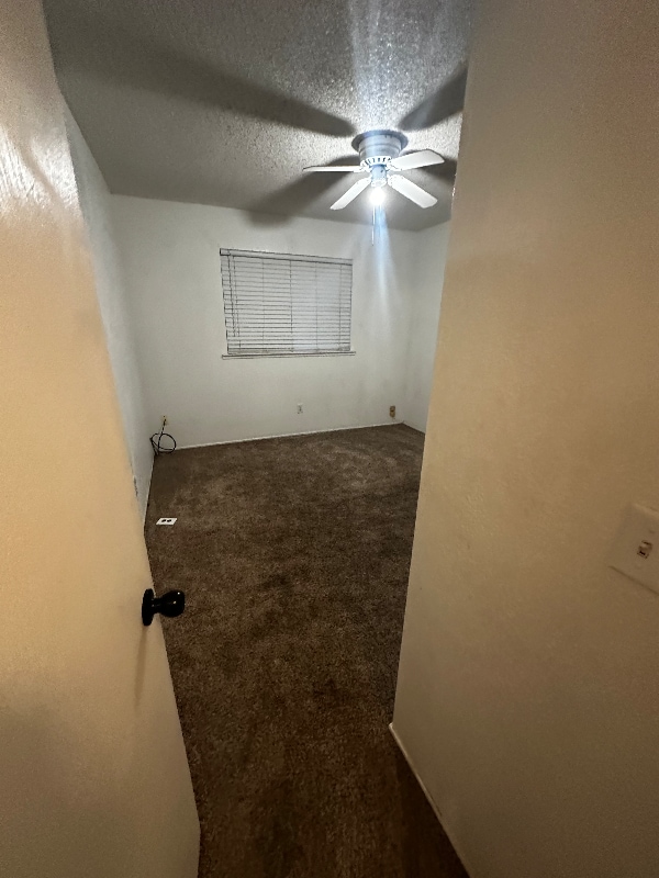 Photo - 385 Locust St