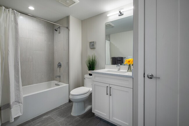 Building Photo - 7 Beech St Unit 312 Rental