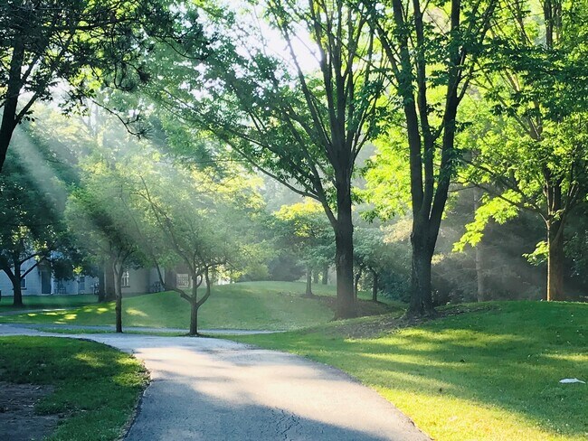 Walking path