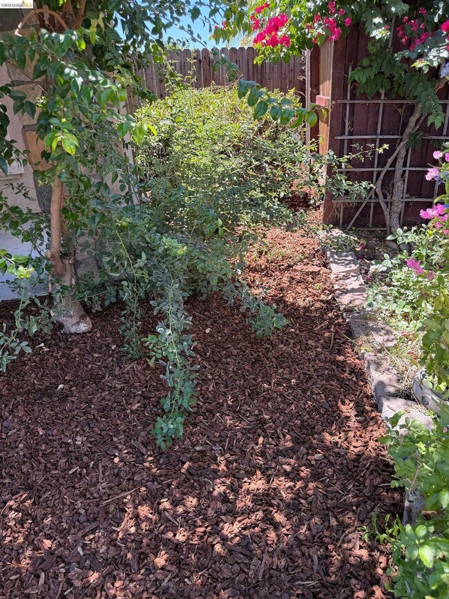 Photo - 5575 Sunview Ct