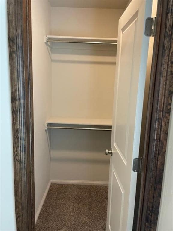 Photo - 2428 Northcreek Ln