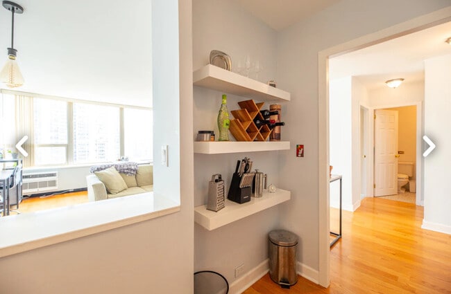 Photo - 1460 N Sandburg Terrace Unit 1503A