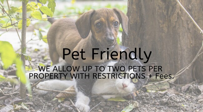 Photo - Southern Horizon by Kading