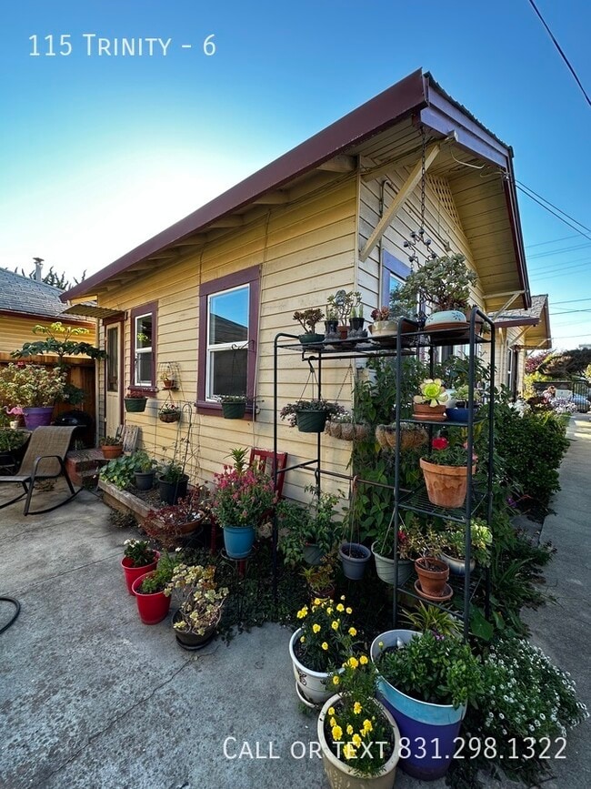 115 Trinity-6 - 115 Trinity-6 Casa