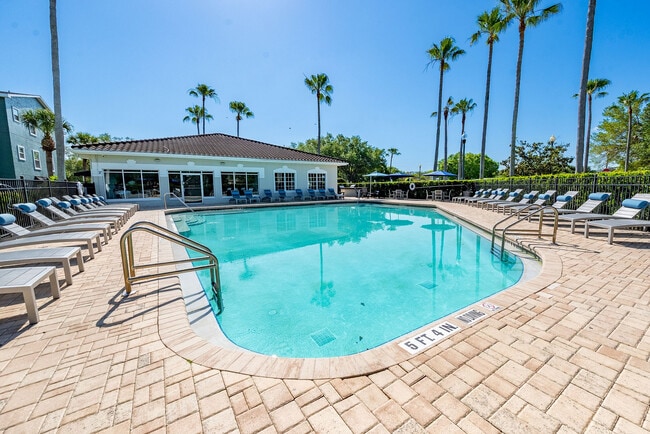 Photo - Oviedo Grove