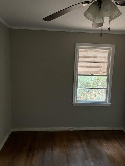 Photo - 1115 Luttrell St