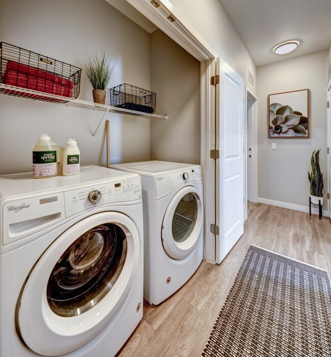 No Laundromat Needed