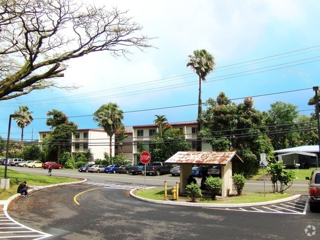 Photo - University Palms