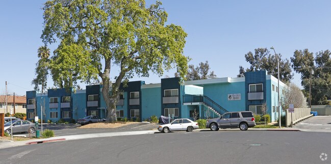 Peacock Court Apartments - Peacock Court Apartments