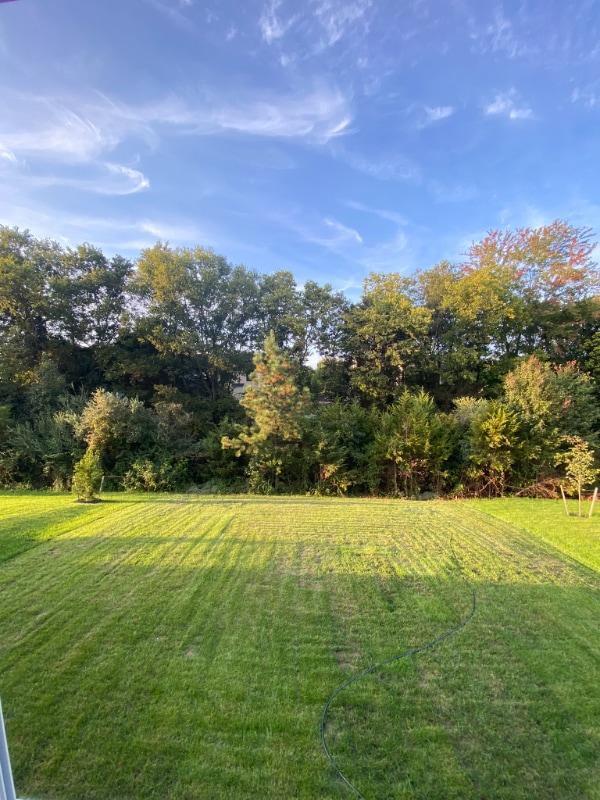 Photo - 247 Laurel Pk Dr