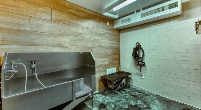 Elevation San Tan