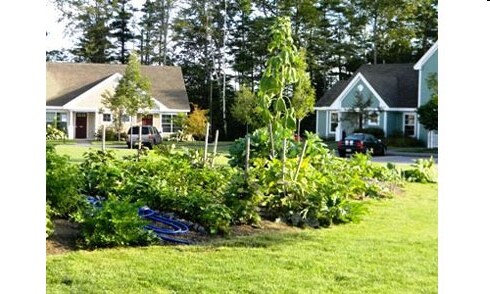 Photo - Davis Island Townhomes