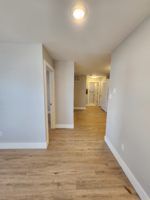 Photo - 19 N American Dr