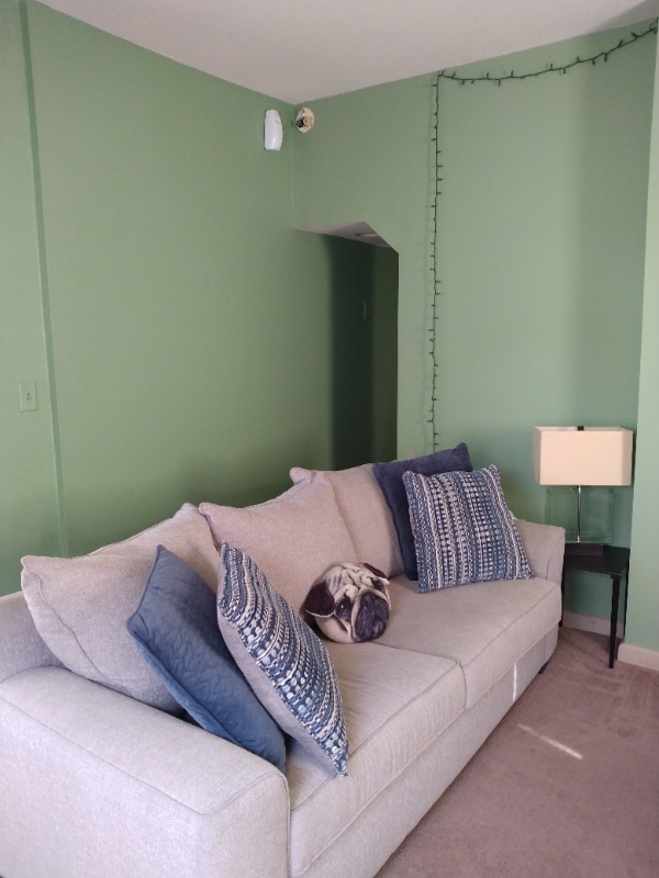 Photo - 406 E Lima St