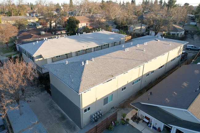 The Canopy