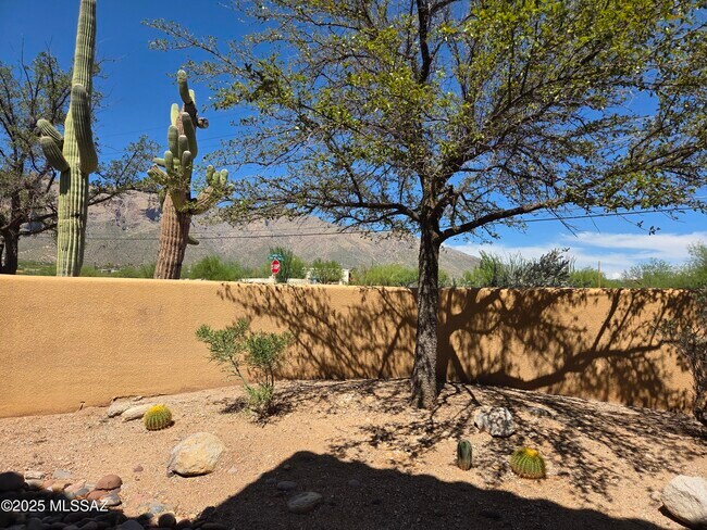 Photo - 6651 N Campbell Ave Unidad APT 181
