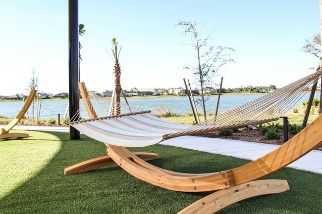 Canopy Hammock Area
