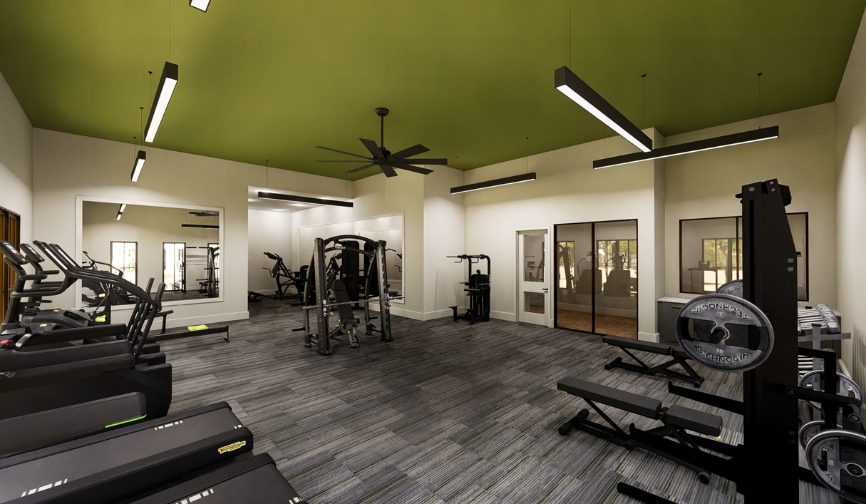 Photo - Cypress Terra