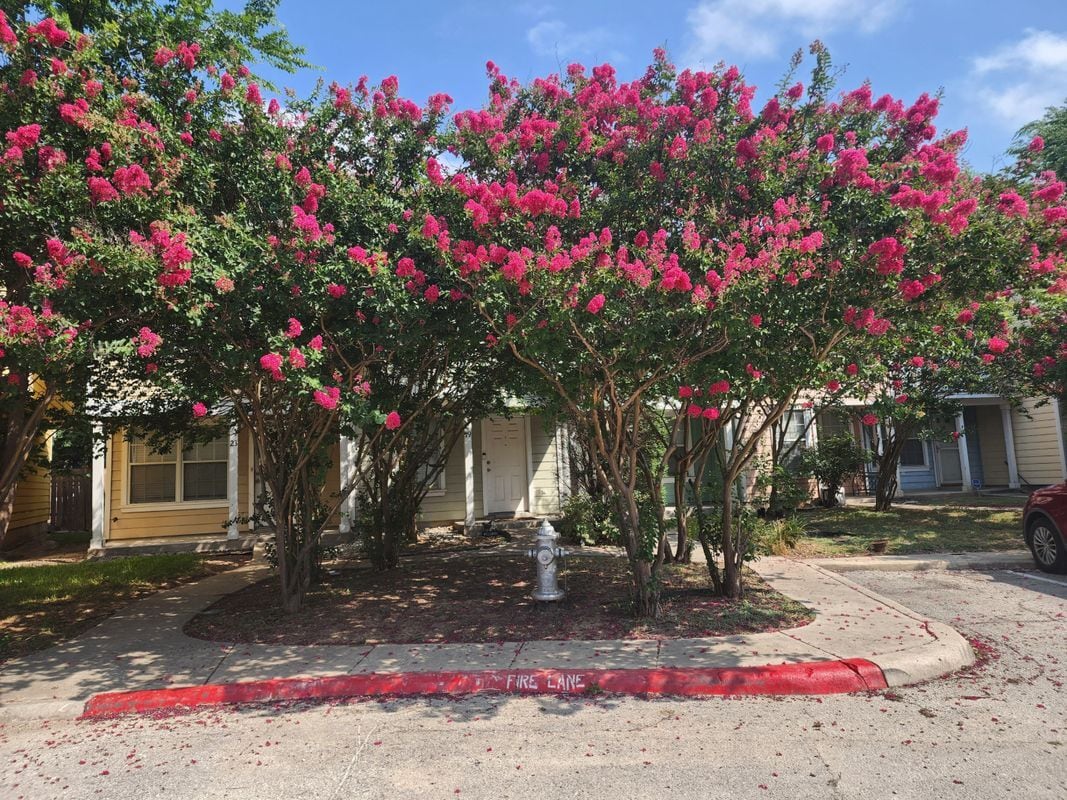 Photo - 19 Autumn Pass