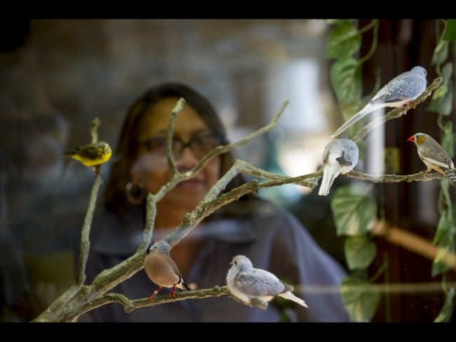 Photo - Coville Assisted Living Senior Apartments