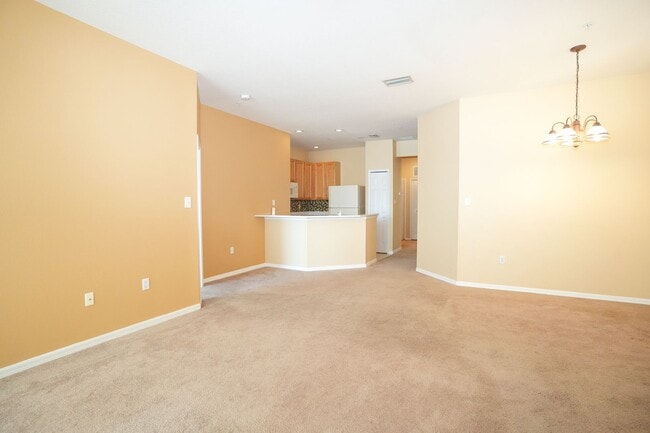 Photo - Partridge on University