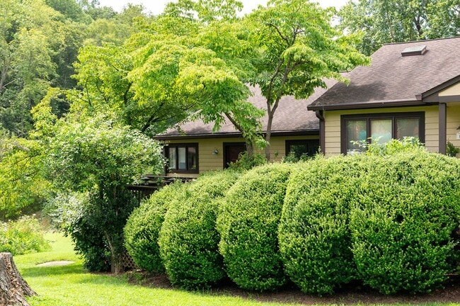 Photo - 1285 Branchlands Dr Townhome
