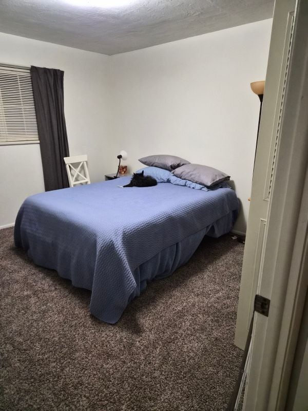 Photo - 544 S Xenon Ct