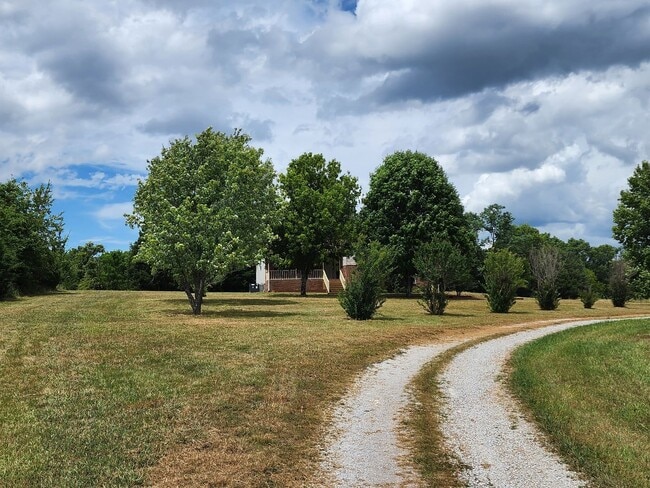 Photo - Stunner on Almost 10 Acres on Bear Creek
