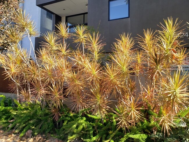 Photo - 424 S Venice Blvd Unit 1