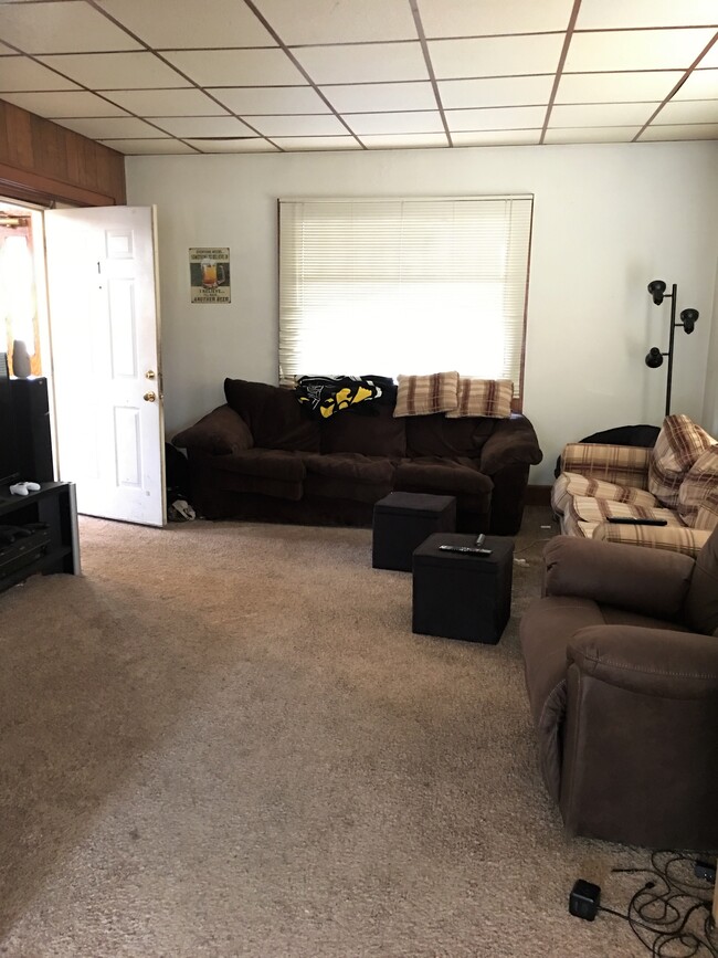 Living Room - 109 E Prentiss St Apartments Unit 1