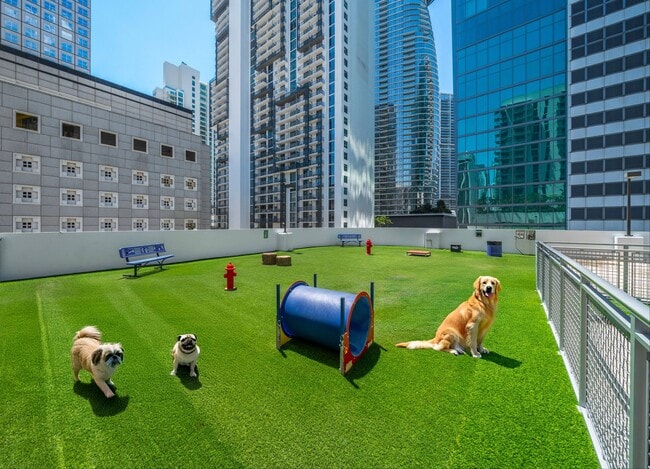Un parque infantil en el centro de la ciudad para cachorros