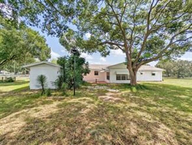 Photo - Available Immediately!