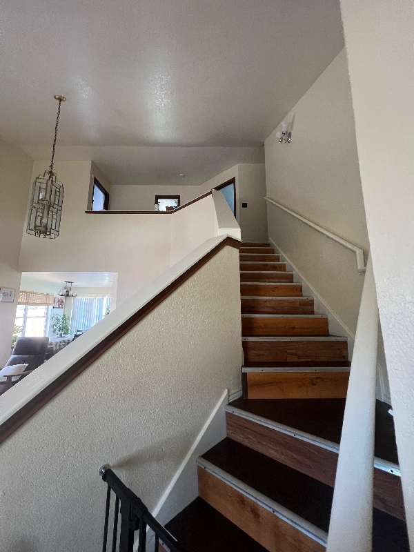 Photo - 3702 Pevetoe St