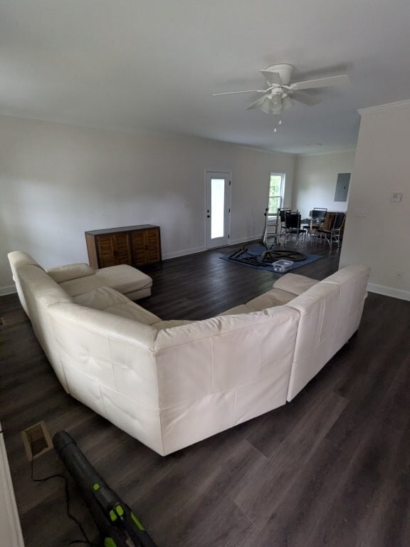 Photo - 214 Evans St