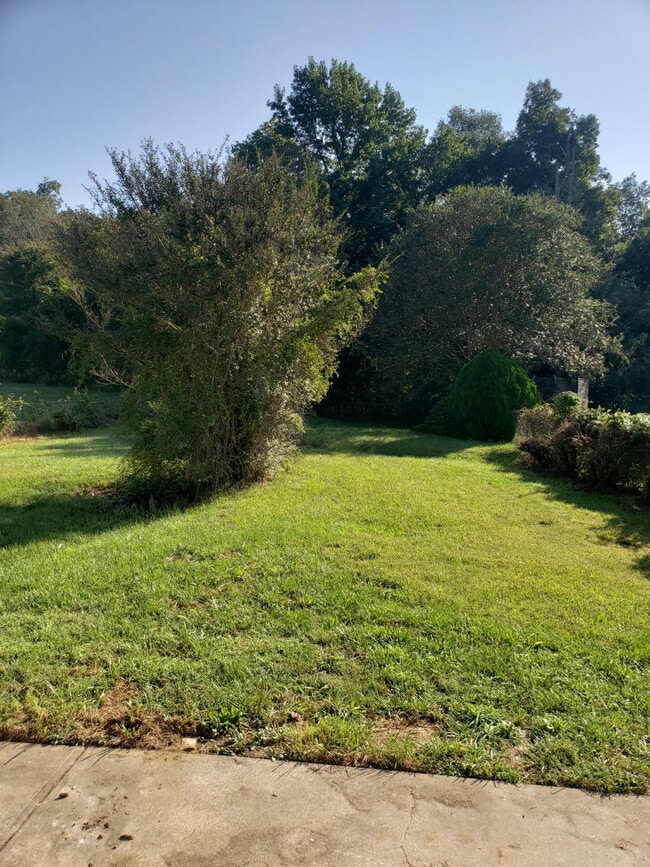 Photo - 8026 Strawberry Point Dr