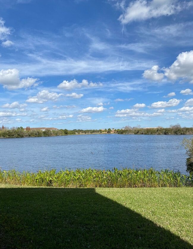 Photo - 2517 Lexington Oak Dr