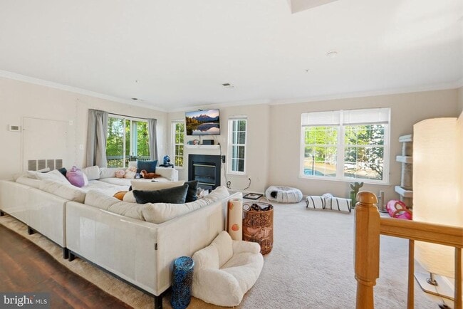 Photo - 12796 Fair Briar Ln