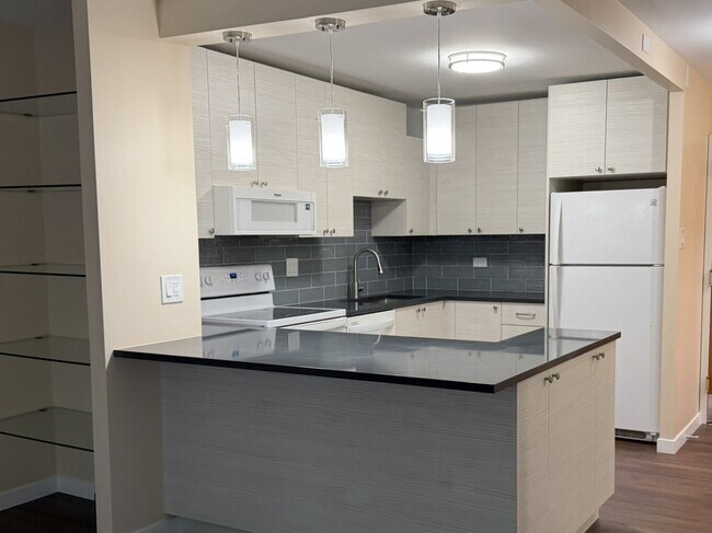 Photo - 211 E Ohio St Unit 1711