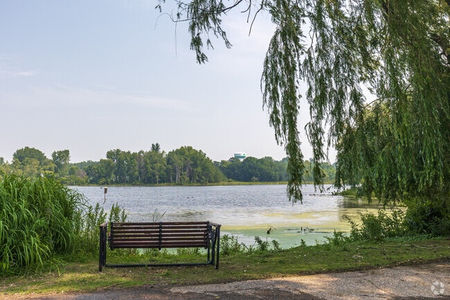 Pond Views
