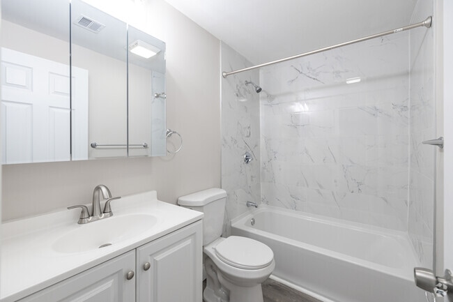 2BR, 1BA - 800SF - Bathroom