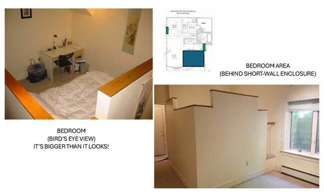 2947 Albemarle St NW Unit Bright English Basement Apartment