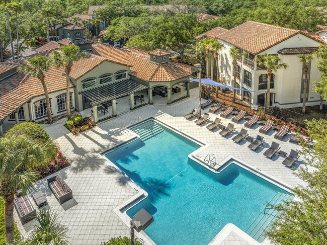 Mezzo of Tampa Palms