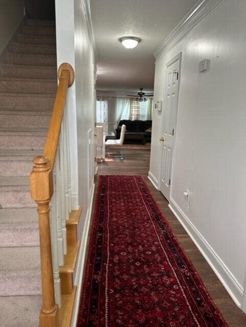 Photo - 2032 Reserve Ln