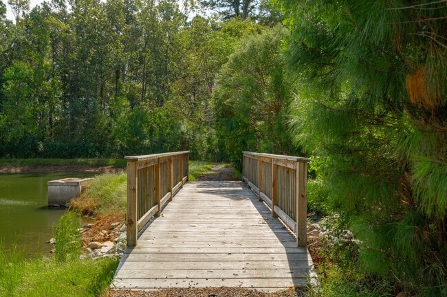 Walking trails and Bridge