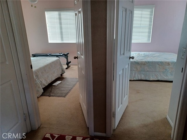 Photo - 33577 Cedar Creek Ln