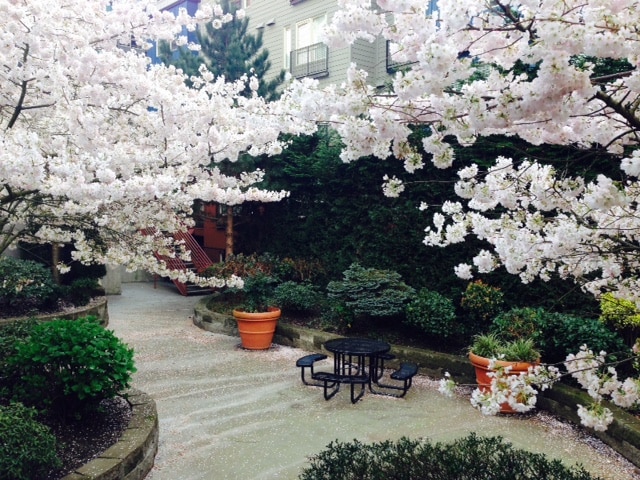 Promenade at the Park Apartment Homes