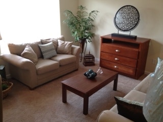 Apartamento - Sala de estar - Fox Run